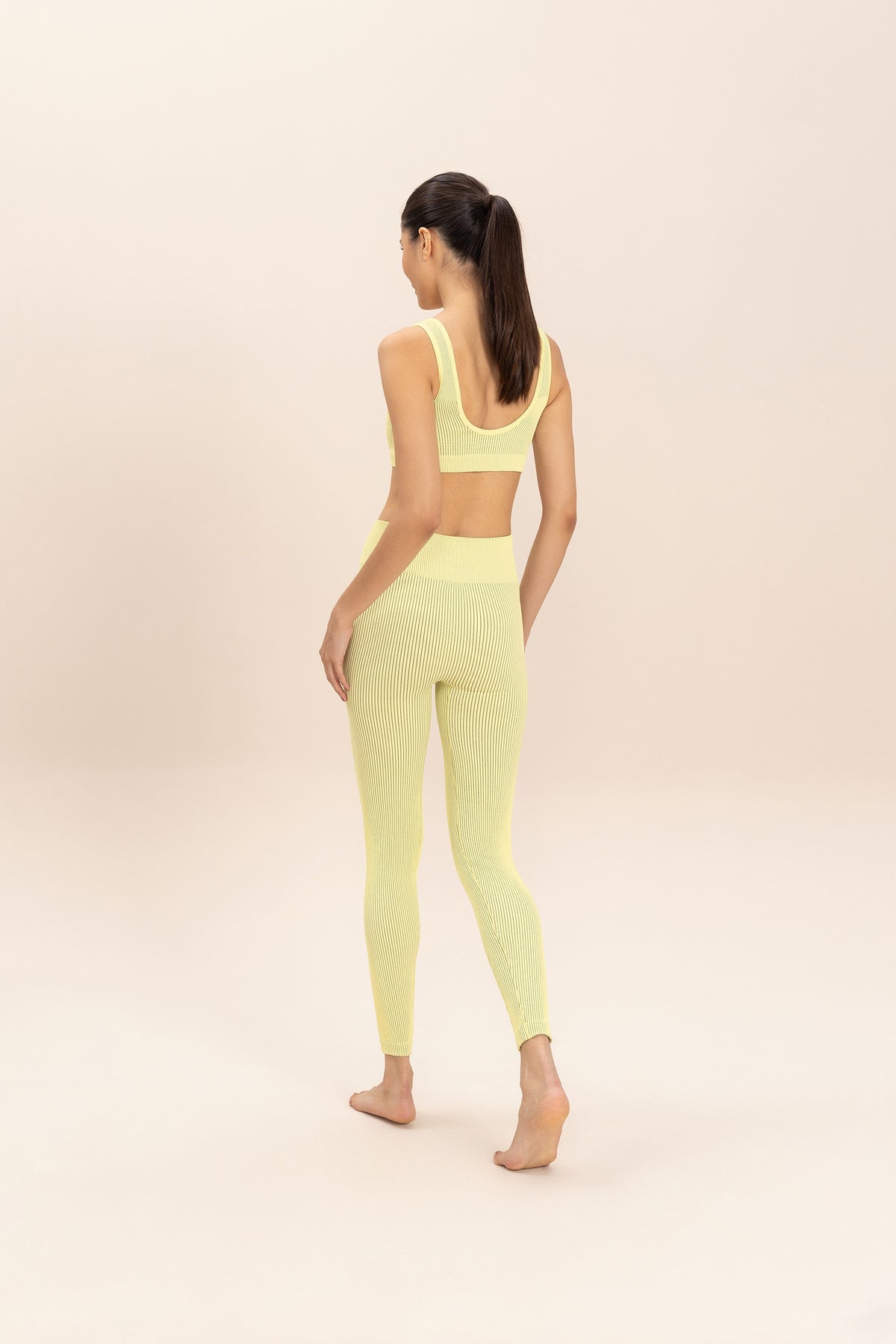 Rib Classic Seamless Leggings